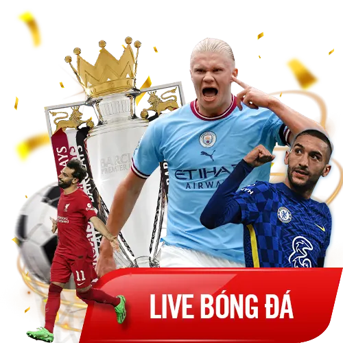 live bong da vn88